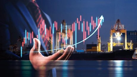 Ship owner and audit advisory
